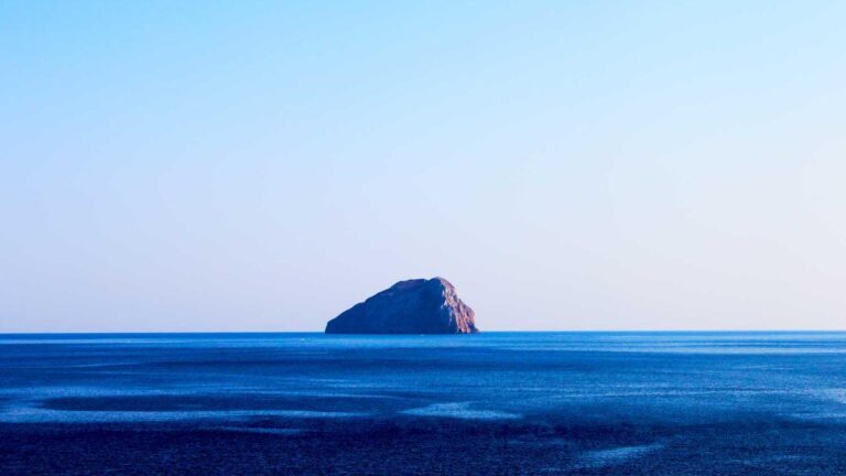 How To Find My 11Xplay New Id Number?